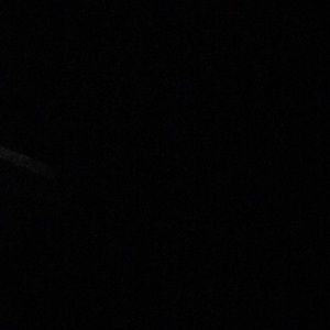 Meet your Posher, Nora